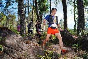 BIB: 6912
                            <button type="button" onclick="openModal(18915401)" class="btn btn-primary btn-sm float-right btn-popup" data-toggle="modal" data-target=".modal-high-quality">
                        <i class="fas fa-shopping-cart"></i> Add to Cart
                    </button>
                                            <button type="button" onclick="isThisMe(18915401, true)" class="btn btn-success btn-sm float-right btn-popup btn-isme hidden" data-toggle="tooltip" data-placement="bottom" title="นี่คือรูปของคุณใช่ไหม คลิกที่นี่เพื่อเอาเข้าอัลบั้ม">
                        <i class="fas fa-plus"></i> Add to album
                    </button>
                    <button type="button" onclick="isThisMe(18915401, false)" class="btn btn-warning btn-sm float-right btn-popup btn-isnotme hidden">
                        <i class="fas fa-ban"></i> Remove from album
                    </button>